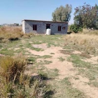 طريق بغداد كوت • ٨٠٠م