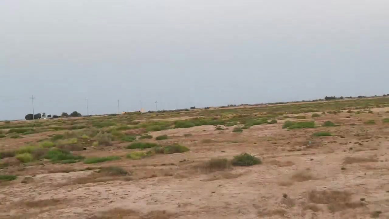 سلام عليكم أرض زراعية للبيع مساحة 200 دونم + بيت كامل مساحة 300  سندويج +بيت ثاني 150متر عگاده مع حقل كامله ماي +كهرباء +موطور جهاز+كاروبه بدواته كامله تبعد عن الشط كيلو فقط سعر 225 مليون مكان العمارة قضاء الميمونة  تواصل خاص او ***********
