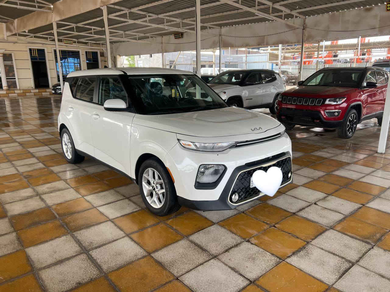 السلام عليكم من رخصة مدير الكروب
كيا صول  2022 وارد امريكي 
مواصفات السياره: فول ماعدا الفتحه 
انظمه قياده 
ويل كب 
رادارات امامي وجانبي 
ضرر السياره: دعامية تبديل فقط وشويه صبغ بجاملغ والباب الخلفي  لجهة السايق 
ملاحظة:  اخوان مستعجل على بيع 
مكان السياره بابل /الشوملي 
للاستفسار اكثر الاتصال برقم التالي: ***********
