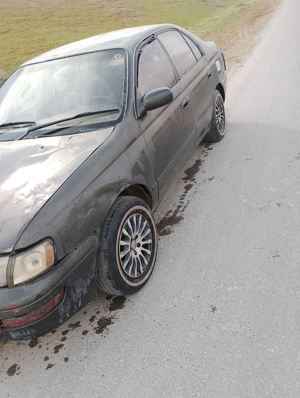 السلام عليكم ورحمة الله وبركاتة
فرخ بطة 1992 رقم نينوى  دولي مصطرها سنويتة ل2030 شرط الوكالة والتحويل كاربون بانزين بيها  محور كير عادي والمحرك بي نفخ السعر 31 وبيها مجال للطيبين العنوان الموصل الايمن 
***********
