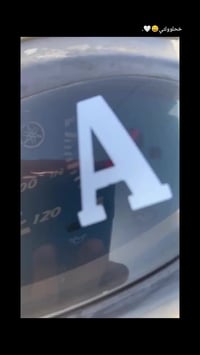 ماكس منغولي • نضيف • مسيب