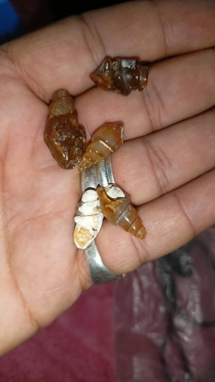 حجر ملوي شفاف جبلي عدد 5 ناعمات بيع بسعر 40 الف او  مراوس بخاتم فضه حسب رغبه توصيل كافه محافظات 6 الف


**إذا كنت صاحب هذا الإعلان وتريد حذفه لأي سبب، رجاءا أرسل رسالة إلى الدعم الفني**