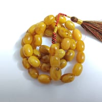 كهرب بولوني • طبيعي • ٦٧ غرام