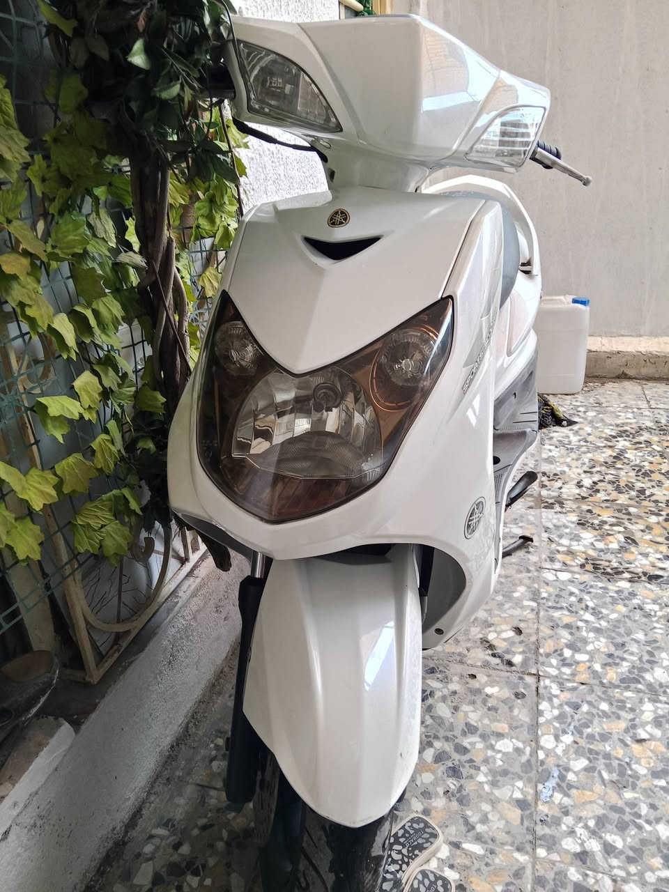 سلام عليكم دراجه سكنس ياباني مزوده تزويد ياباني فول اجايه من بره مزوده بوشه58 صالنصه اصليه كلجات رياضي اصلي دبلات خلفيه رياضي اصلي ملف جبير سلف رياضي اصلي قبق فلاوين اصلي دبل اشاره سكن عالي ناصي كيلو متر كله شغاله الدراجه كفاله عامه من الزلغ جديده بمعناه الكلمه شلعه تشك الكاع معدل 120 صارله خمس تيام نازله رمبه اوراق المغرض موجوده قفل ستين قفل جنطه قفل جونه دراجه كلش جديده بجيس عارضه بواحد وربع )1250) شراي بخدمته *********** مكاني بغداد الزعفرانيه
