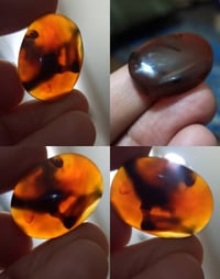 جوهرة • مباركه • نادره