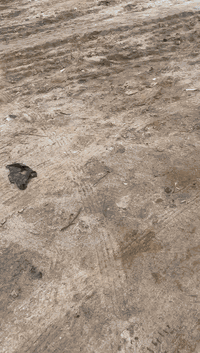 كربلاء الشبانات • ٦٠٠م • موضح بالفيديو