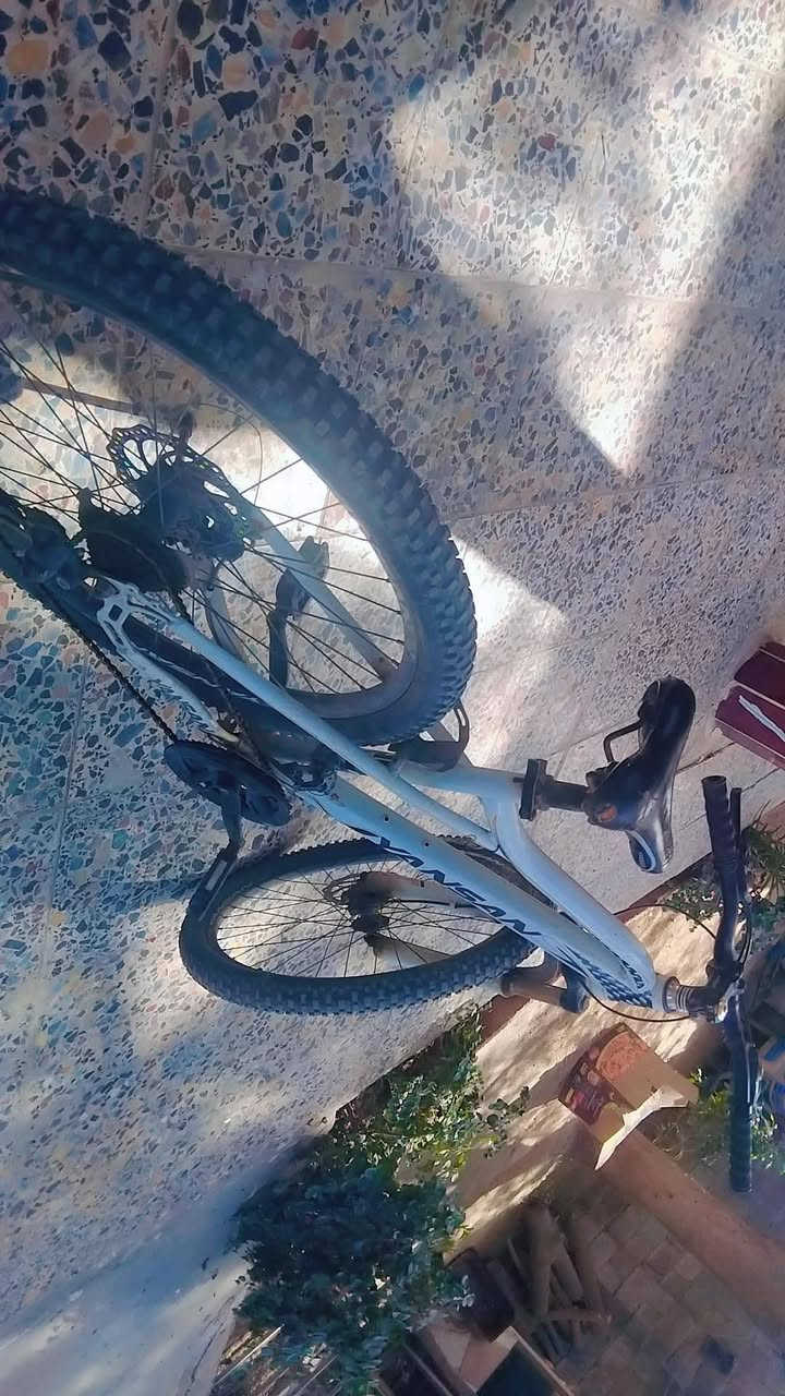 السلام عليكم هذا البايسكل للبيع فول موصفات أمريكي لون ابيض يجنن النوع BMX جبلي سبع نمر العنوان بغداد الدورة البوعيثة بداية سيطره البوعيثة السعر 60 وبي مجال حك الجيه  رقم الموبايل ***********
