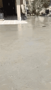 خدمات • داخل البصرة