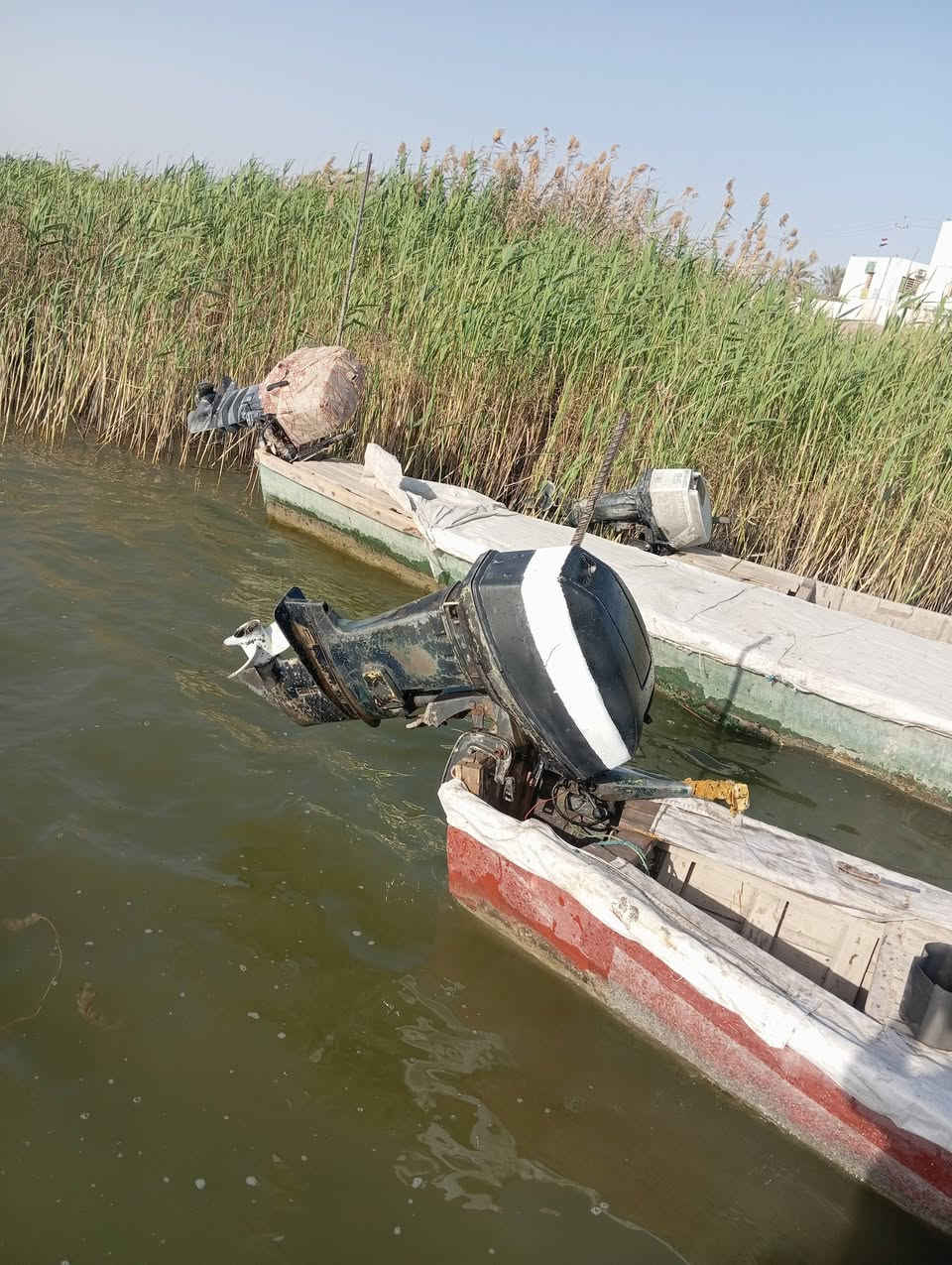 ***********السلام عليكم مكينه ياماها 48 للبيع السعر 700 مراوس الراوس بيع نبيع وشراء يجينا واحنا بخدمته
