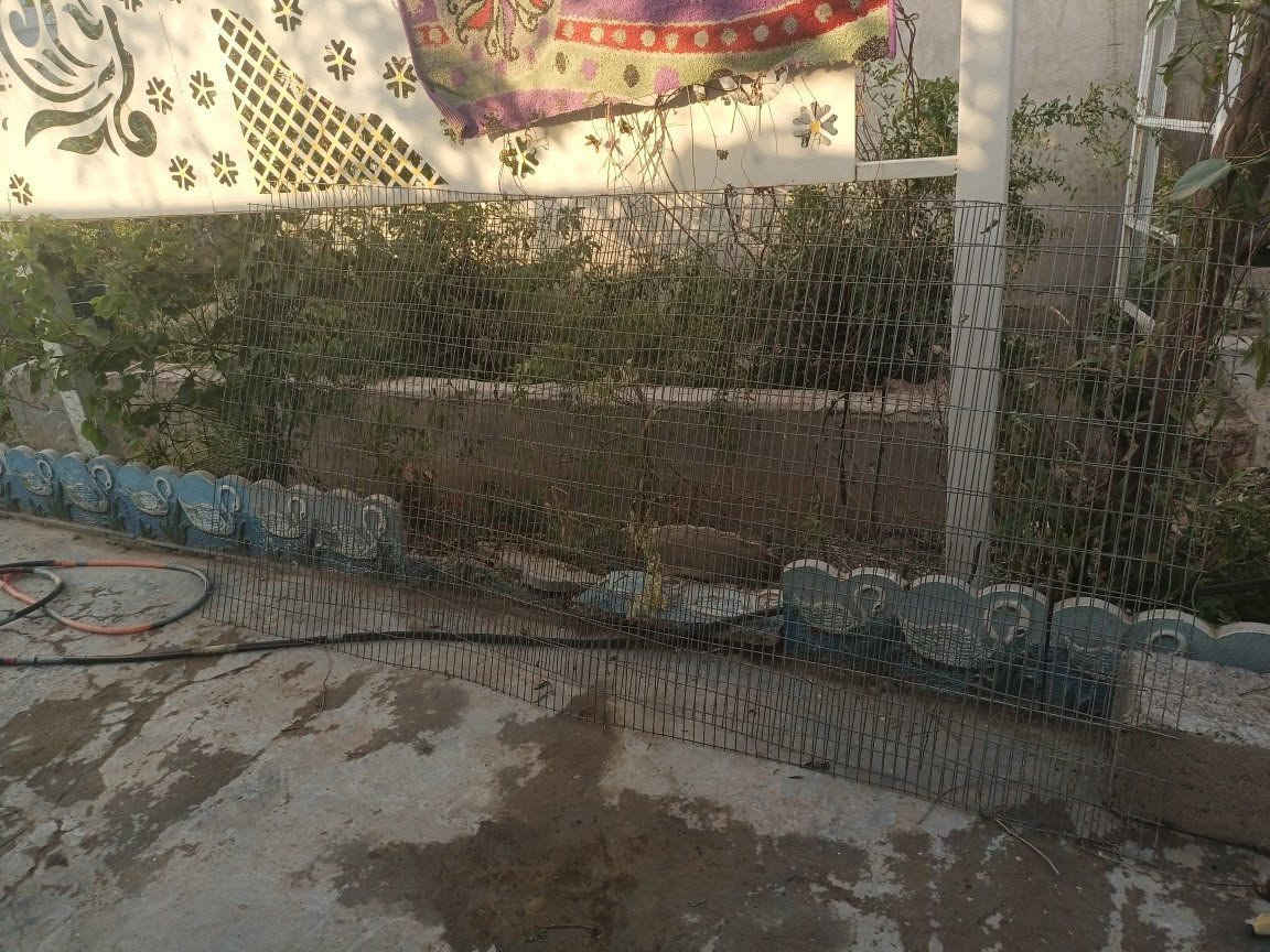باب حديقة 
هاسكي مال اقفاص خمس طبقات 
واربع روطات ثقيل طول 2 ونص 
***********
