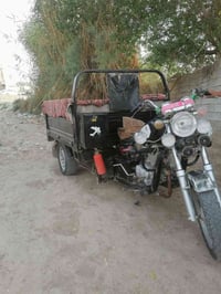 ستوته • ٢٠١٩ • سنويه