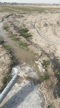 🏷  ٣  دوانم  للبيع – موقع مميز
📍 على طريق الدغارة – الديوانية
🔹 خلف مطعم واثق ضمن المزارع
🔹 يبعد أقل من كيلومتر واحد عن الشارع العام
✨ المواصفات:
المساحة ٣ دوانم 
العدد المتوفر: 3 دونم
جميع الخدمات متوفرة
نزلة تبليط 
للاستفسار خاص أو واتساب 
***********
