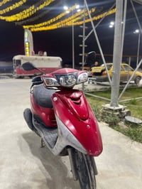 دراجة للبيع • بغداد جامع النداء • اكزز بغبغاء