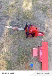 منشار • قطع أشجار • نخيل