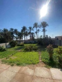 مزرعة وبيت • ٦٥٠م • طريق السنية السياحي