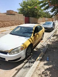 امبالا • ٢٠١١ • باسم جيراني