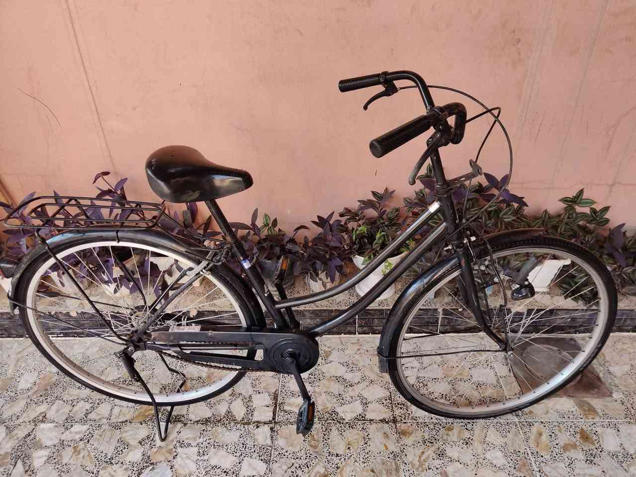 🚲 للبيع باسكل حجم 26 بحالة ممتازة
✔️ البريك الأمامي والخلفي شغال 100٪
✔️ سياقة مريحة وخفيف بالحركة
✔️ جاهز للاستعمال مباشرة بدون أي تصليحات

📍 المنطقة: حي العروبة
💰 السعر: 85

للاستفسار مراسلة خاص 📩


**إذا كنت صاحب هذا الإعلان وتريد حذفه لأي سبب، رجاءا أرسل رسالة إلى الدعم الفني**