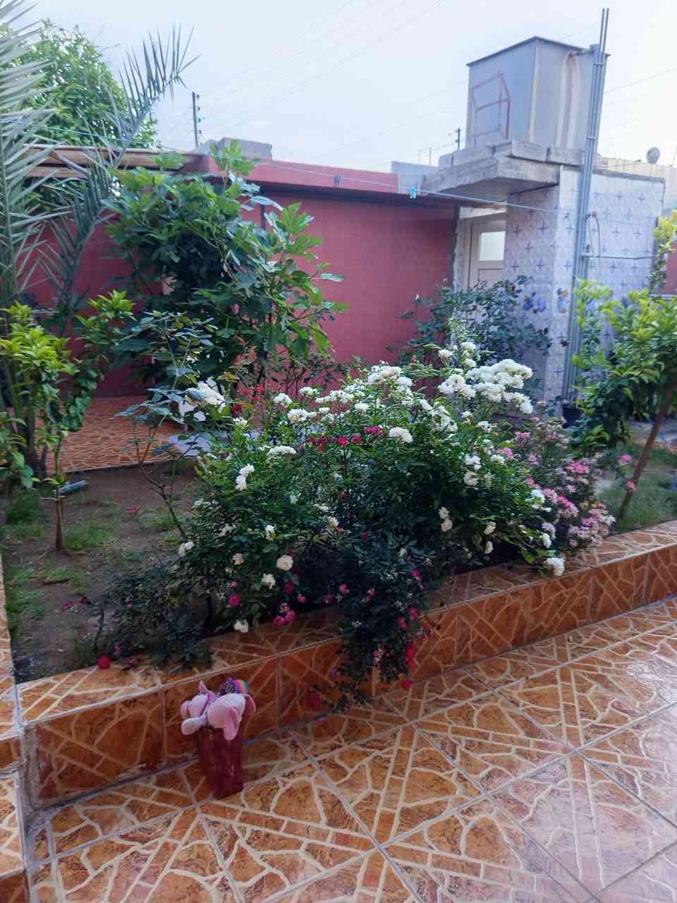 دار للبيع مساحه 250متر طابو صرف بسم شخص واحد يتكون من كراج حديقه مخزن استقبال مطبخ حار. بارد 3 غرف نوم صحيات داخلي وخارجي الموقع حي العسكري شارع ملى جمال قرب الحديقه الشراي يتصل ***********
