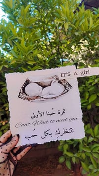 استيكرات حمل
