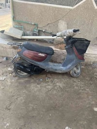 دراجة منغولي • مكاني • كربله قرب الكفيل