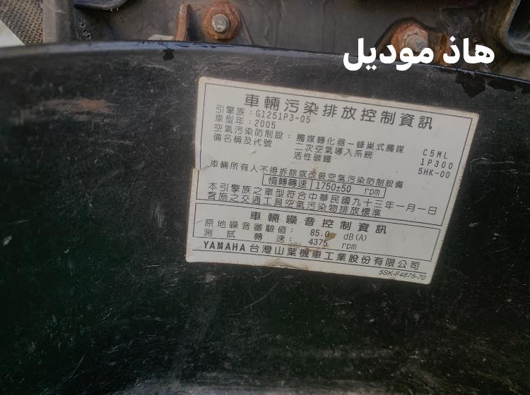 ماكس ثعلب للبيع
