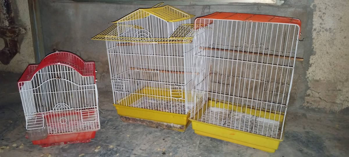 السلام عليكم الواحد 7


**إذا كنت صاحب هذا الإعلان وتريد حذفه لأي سبب، رجاءا أرسل رسالة إلى الدعم الفني**