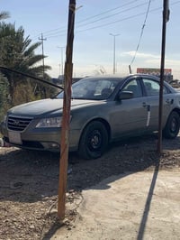 سوناتا • ٢٠١٠ • مصبوغ خلفي