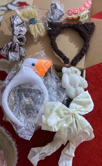 اكسسوارات شعر • ٤٠ قطعة • توصيل مجاني