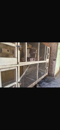 قفص تكاثر • كناري وفنچس • طول٣ ارتفاع٢ عرض١٢٠