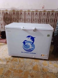 مجمدة شغالة • تجميد فول • النجف شارع ٣٠