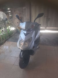 سكنس فحل • نوزل • سلف