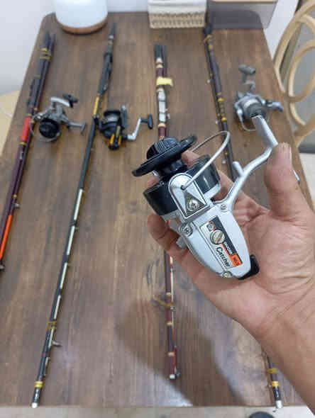 عود دايوه ياباني +مكائن باله شيمانو عدد 2/ريوبي عدد 2
عود دايوه ياباني 
طول 210 عدد /3
طول 180عدد (1
ـــــــــــــــــــــ
مكائن ياباني 
شيمانو عدد ٢/حجم ٢٠٠٠و٣٠٠٠
ريوبي ياباني وكوري عدد ٢/حجم ٢٠٠٠
ـــــــــــــ
سعر عوده ومكينه ٣٠ الف 
اذا شلعه توصيل مجاني 
وتساب /***********
