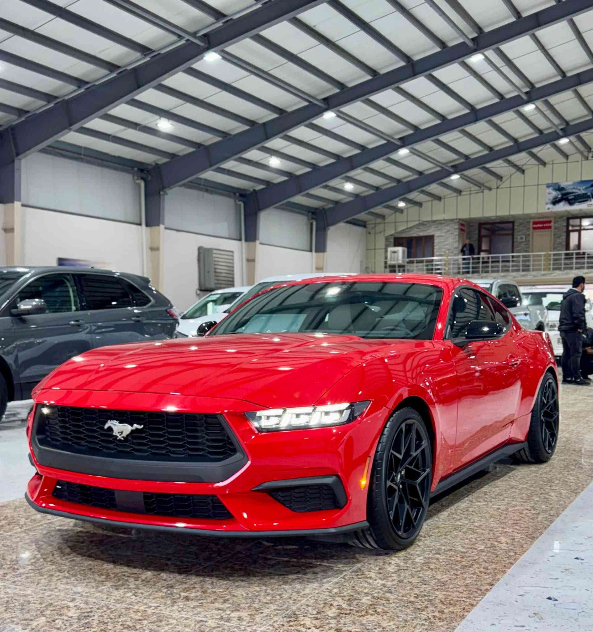 فۆرد مۆستانگ ٢٠٢٤ ئیکۆبوست
دەرگاو پەڵەیەک لە چاملەخی دواوە لای سایەق بۆیاخە
بێ ناو گرتن
ئێرباگ تەنها شان تەقیوە بیلادی سەر سەیارە بۆ ی دانراوەتەوە
پێشو پشتی کەپسە 
١٦ هەزار رۆیشتوە
وێنەی ڕوداوەکەشم داناوە
ژ. مۆبایل 
***********
واتساپ
***********
نرخی 220 قوفل رانية, السليمانية
