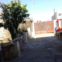 غالبية سيف سعد • ٣٠٠م • طابو صرف