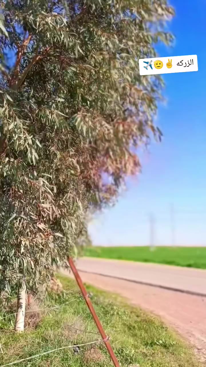 السلام عليكم.للبيع ماطور سولنك موديل 2023 ماطور اخو الجديد تشقل عن بعد  ماطور فول رزانه محرك كبس ما مفتوح كهربايات كله شقاله اوياله مصطره نشاط فول  مكاني ملا عبدلله  السعر 580   او هاذه رقمي تصل ***********
