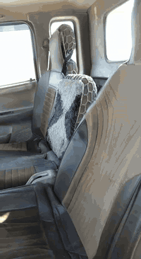 كيا ام عيون.. أدوات. أدوات. كير محرك كهربائيات شرط. السياره جاهزة. تشغل وتطلع.. تخم تاير جديد.. ***********
