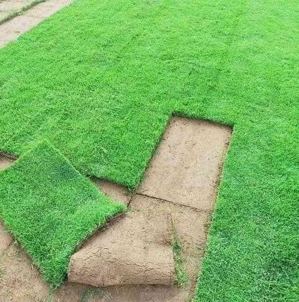 تخفضيات لفترة محدودة (بأسعار مناسبه وتنافسيه ) ✨❤️

انتاج خاص بمزارعنا
حيث الجودة والسعر المناسب 

☘ثيل هندي طبيعي نوعية ممتازة🍀 مناسب للاستخدام في ( المنازل🌳_ الحدائق🌳_ الملاعب🌳_ الدوائر🌿) 

#انتاج_خاص #شكل_مثالي  #سعر_تنافسي

✨ سعر المتر يختلف للكميات الكبيرة ✨

يوجد خدمة توصيل لجميع محافظات العراق 

#ملاحظة : التوصيل مجاني ❤️

(مستعدون لتجهيز الحدائق المنزليه و الملاعب الرياضيه و المنتزهات و الدوائر الحكومية بكادر مختص مميز يجيك لباب بيتك #بأسعار #تنافسيه )
🍁لمعرفة سعر المتر المربع التعليق ب "تم" سوف تصلك رساله 
🍁للاتصال او الاستفسار  متوفر مفتوح طوال اليوم
*********** اتصال
***********واتساب
*********** اتصال
