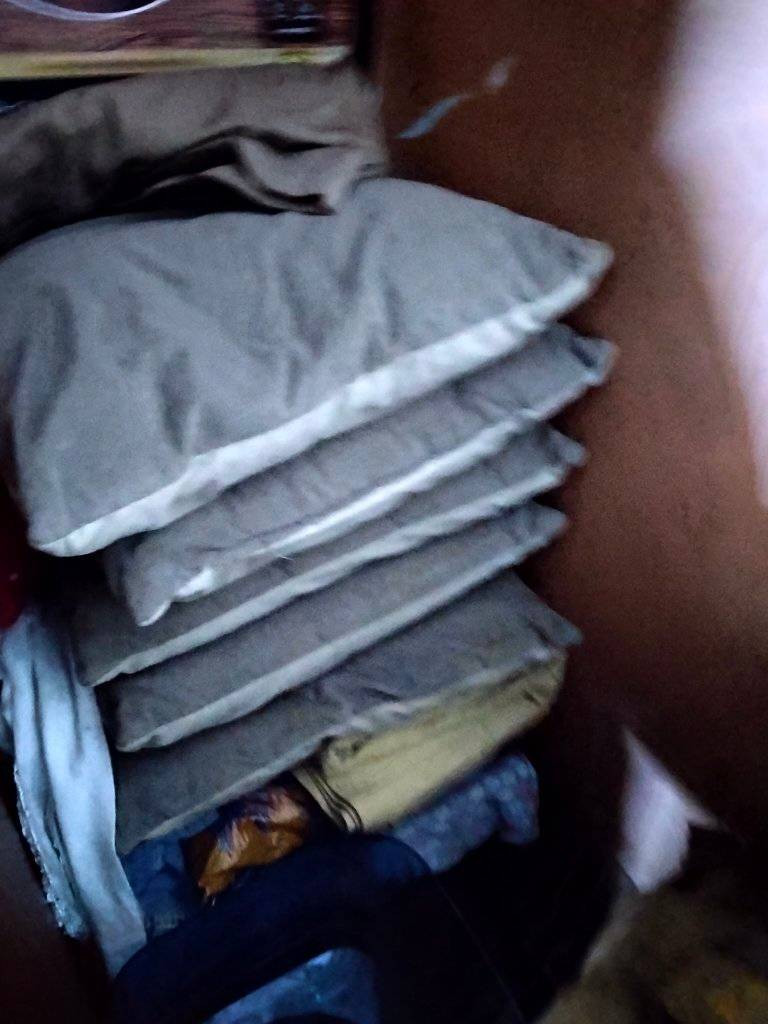 كوشات عدد 6 سعر 20 الف موصل ايسر


**إذا كنت صاحب هذا الإعلان وتريد حذفه لأي سبب، رجاءا أرسل رسالة إلى الدعم الفني**