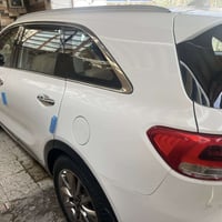 سورنتو • ٧ راكب • مكفول من الصبغ