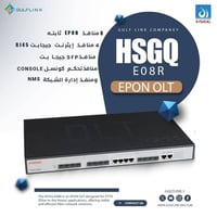 HSGQ • SFP • GPON/EPON