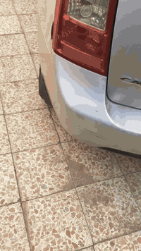 السلام عليكم
كارنز 2008 خليجي رقم بغداد صدامي
مكفوله من صبغ وضربه بيه بارد فقط ب الباب  تجي وتشوفه  سياره حلوه
حالين سياره بغداد جاي داور بيه  للبيع
او مراوس ب انتره  او كسنت  وذار رقم ميسان  بعد احسن لي  رقم *********** واتساب  وانه ب بالخدمه  سعر  خاص  وشكرآ لكم
