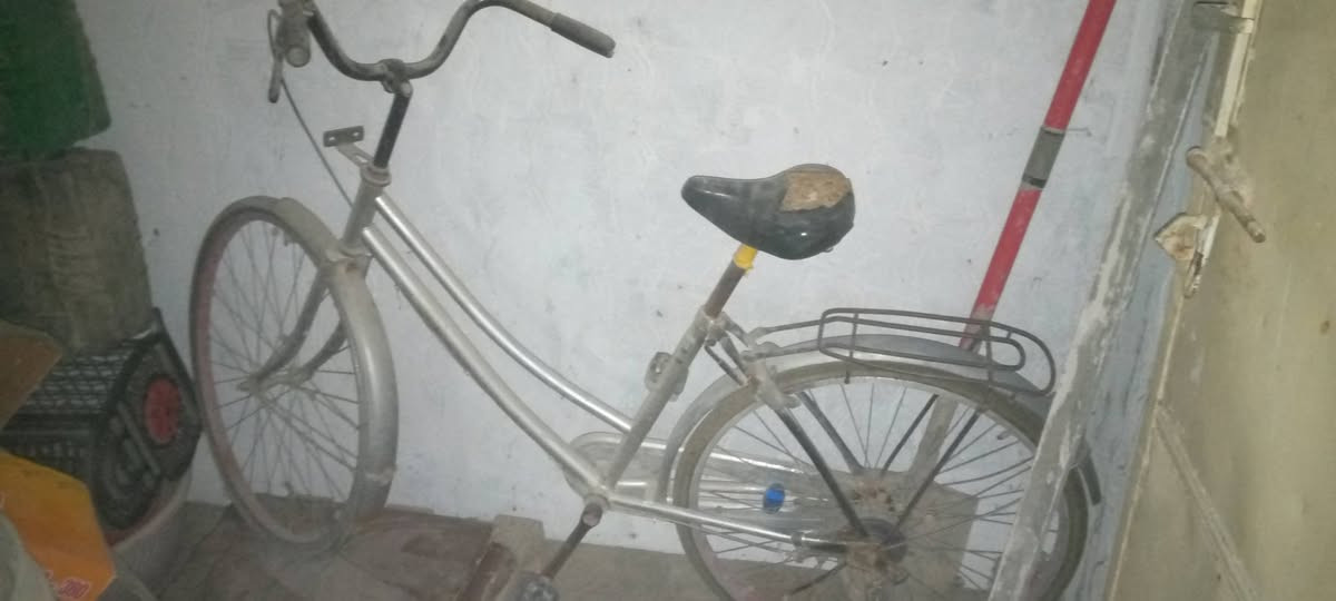 ‏‪***********‬‏
