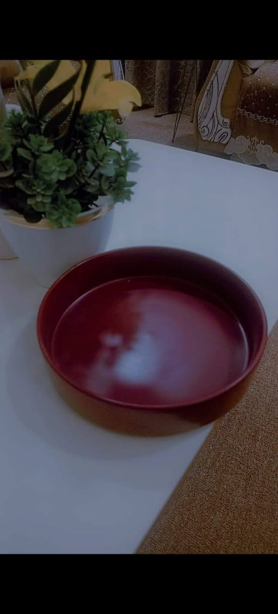 بضاعه حلو وىخيصه


**إذا كنت صاحب هذا الإعلان وتريد حذفه لأي سبب، رجاءا أرسل رسالة إلى الدعم الفني**