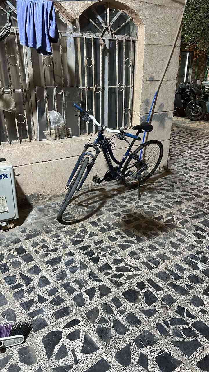 السلام عليكم
بايسكل ترحال كندي سعر 200
الاستفسار 
***********
