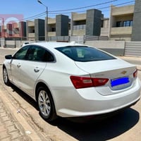 ماليبو • ٢٠٢٣ • رقم البصرة