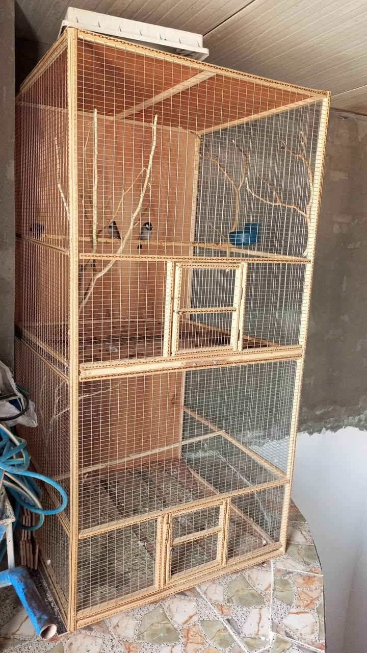 سلام عليكم قفص ومحميه ارتفاع مترين نزال متر وعرض متر قفص كلش حلو ومرتب وشغل مرتب مكاني كوت زين القوس السعر ٧٥ شراي اتصل وبخدمتك ***********
