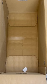 شلعة DHL • برازيلي • رقم ١