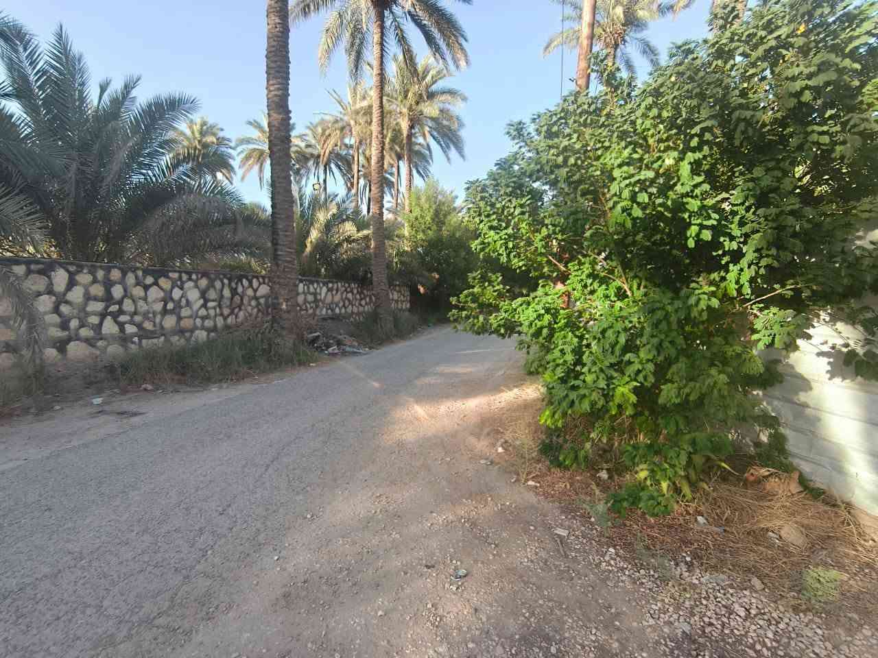 سلام عليكم 
مكلف ب النشر اخوان 
#ارض للبيع مع دار 
 المساحه ١٧٠٠
الدار متكون من غرفتين وكليدور 
وصحيات البناء حديث 
الارض بيه انواع النخيل والاشجار
 #كافه الخدمات ماء كهرباء مولده شارع مدرسه ابتدائيه متوسطه ثانويه قرب مول المنكوشي 
#الموقع / بابل حله شارع ١٠٠الرابط بزل حجي علي 
للاستفسار اكثر 
‏‪ ***********‬‏ اسيا
‏‪ ***********‬‏اثير
