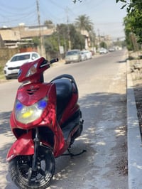 سكنس فحل • نوزل خطين • ياباني