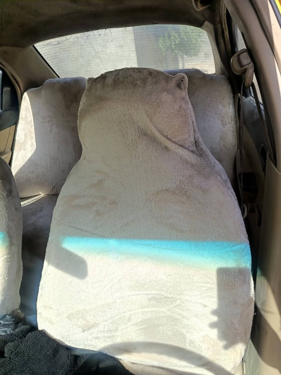 افيو موديل ٩ كفاله عامه كير ومحرك جديد حداديه كله جديده عليه غرامه ٥٠ الف وهيئه ٣٠٠ الف مكفوله من الحادث والضربه فقط مصبوغه عام أثر جراد ستوني مطلعه من الصباغ بعده ممبولشه السعر ٥٢ وبيه مجال للاستفسار *********** او *********** مكان السياره نجف
